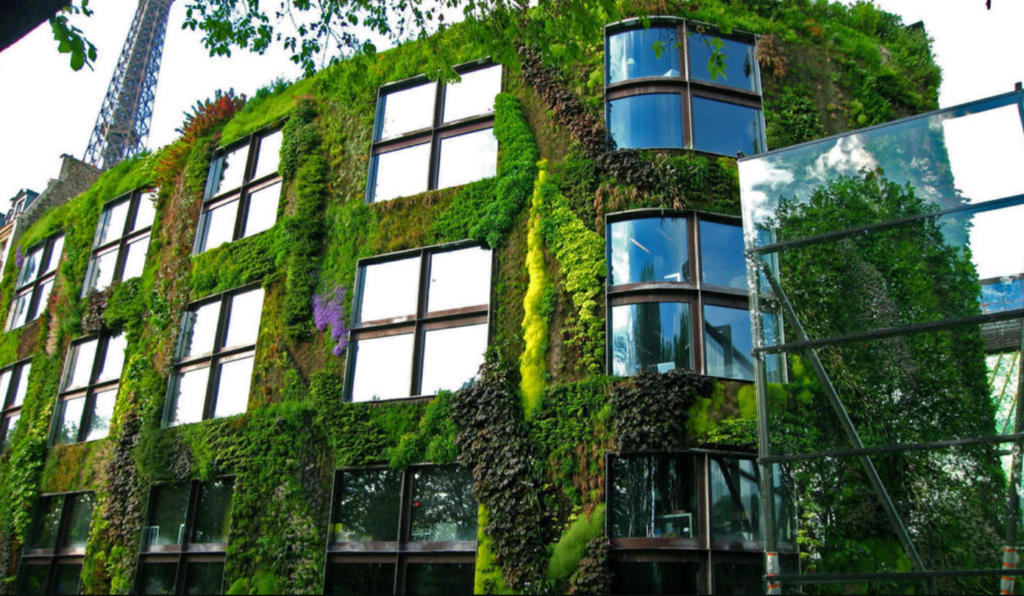 Végétalisation façade